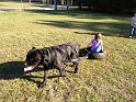 Kids_DogParkwMrB (26)